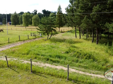 Działka budowlana Danków