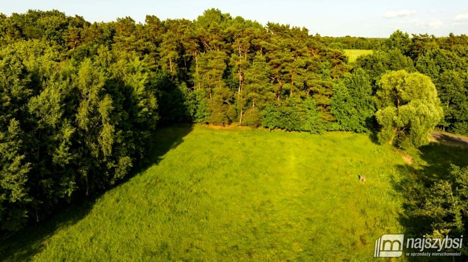 Działka rolna Nowogard
