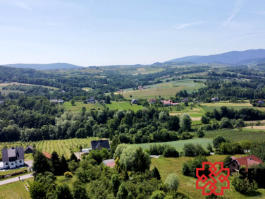 Działka Sadek