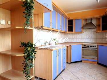 Mieszkanie Przecław