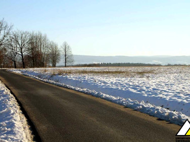 Działka Krzewie Wielkie