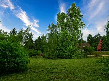 Działka Brody