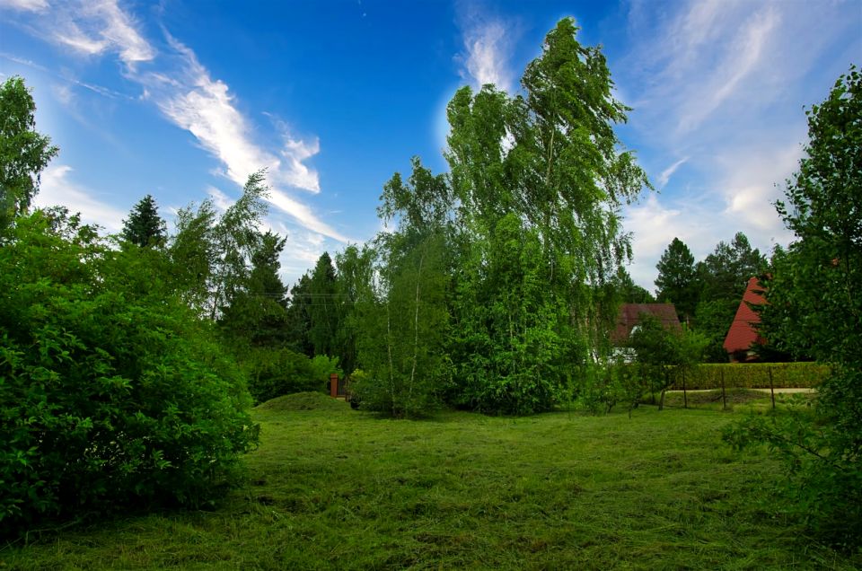 Działka Brody