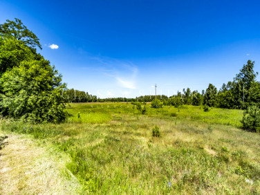 Działka Kośminy