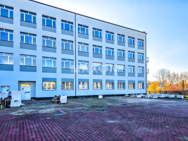 Lokal Bełchatów