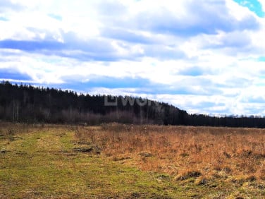 Działka Szprotawa