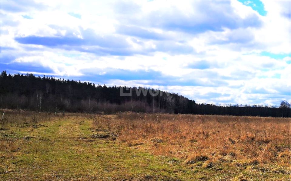 Działka Szprotawa