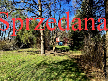 Działka Śliwnica