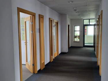 Lokal Poznań