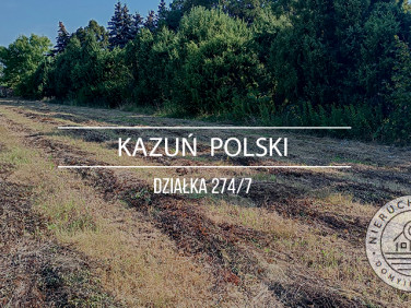 Działka Kazuń Polski