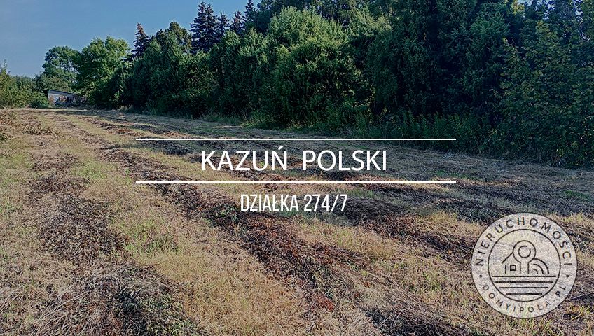 Działka Kazuń Polski