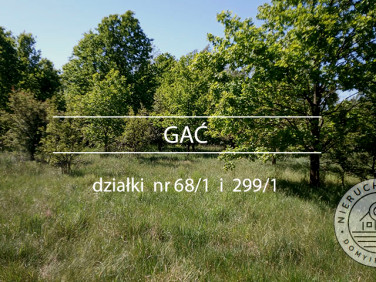 Działka Gać