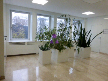 Lokal Warszawa wynajem
