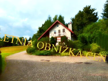 Dom Olszany