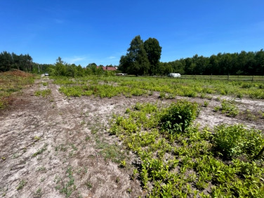 Działka Pysznica