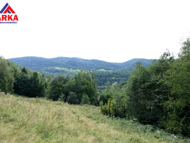 Działka Zabrzeż