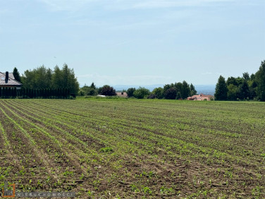 Pusta działka Wola Zachariaszowska