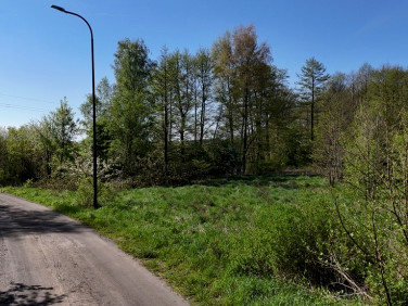 Działka Żary