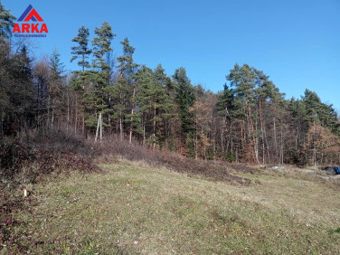 Działka Męcina
