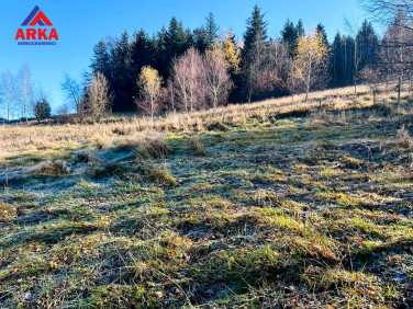 Działka Jordanów