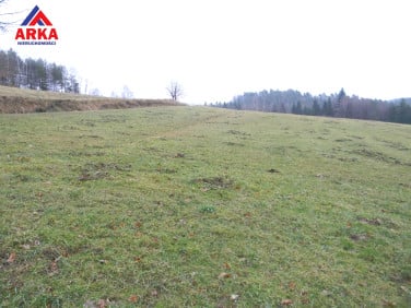 Działka Tarnawa