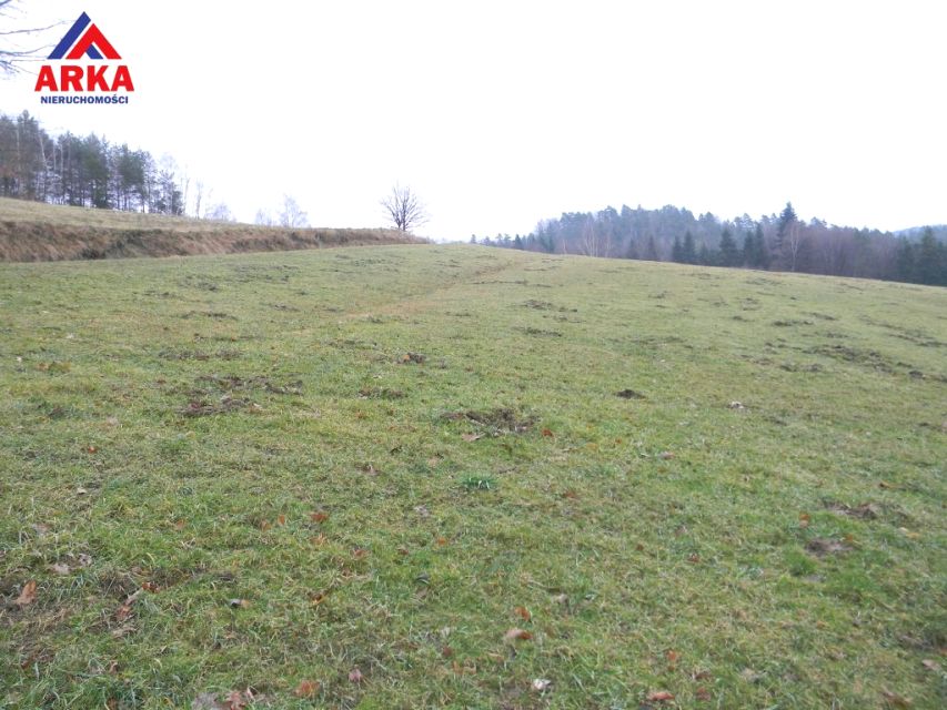 Działka Tarnawa