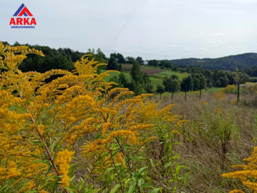 Działka Raciechowice