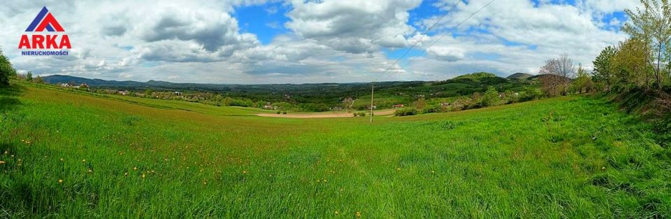 Działka Wilkowisko