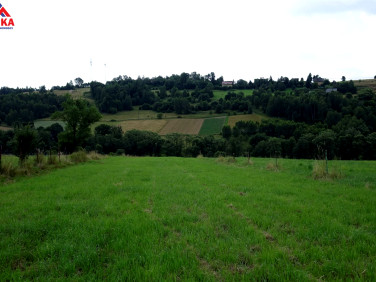 Działka Jordanów