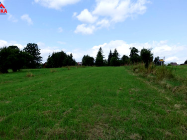 Działka Jordanów