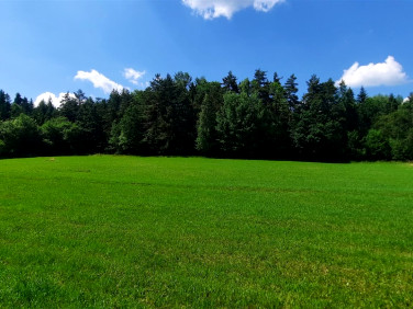 Działka Mszana Dolna