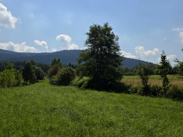 Działka Dobra
