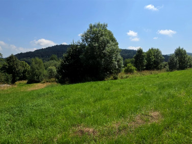 Działka w górach