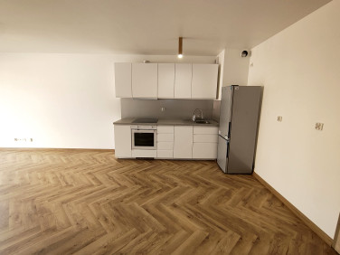 Lokal Katowice