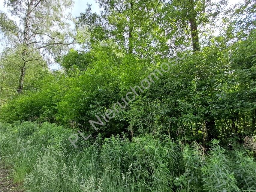 Zdjęcie 3
