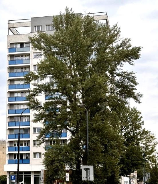 Mieszkanie Warszawa