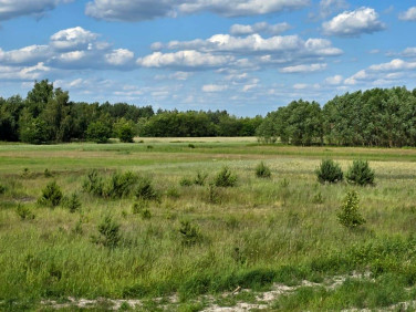 Działka budowlana Pustków