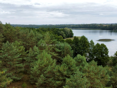 Działka rekreacyjna Rybno