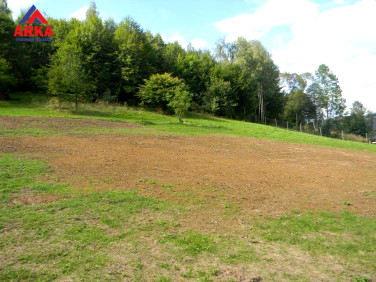 Działka Laskowa