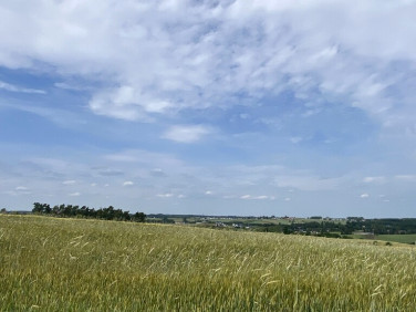 Działka budowlana Smołdzino