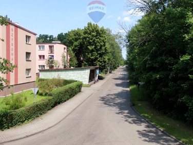 Lokal Zabrze