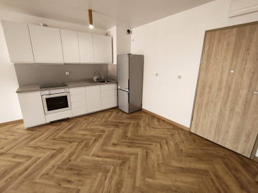Lokal Katowice