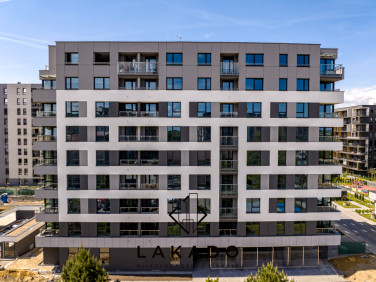 Lokal Kraków