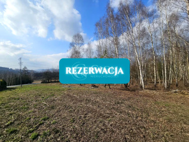 Działka Kamienica Dolna