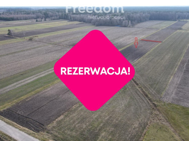 Działka Tuczna