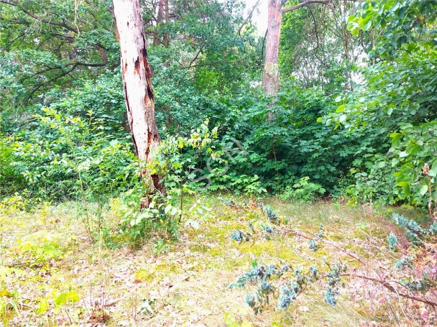 Działka budowlana Warszawa