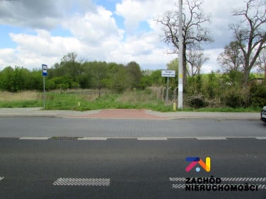 Działka przy lesie