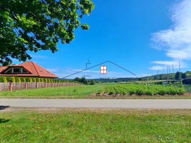 Działka Śliwnica