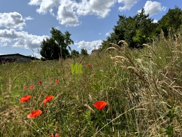 Działka Kiekrz