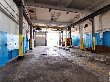 Lokal Białystok wynajem